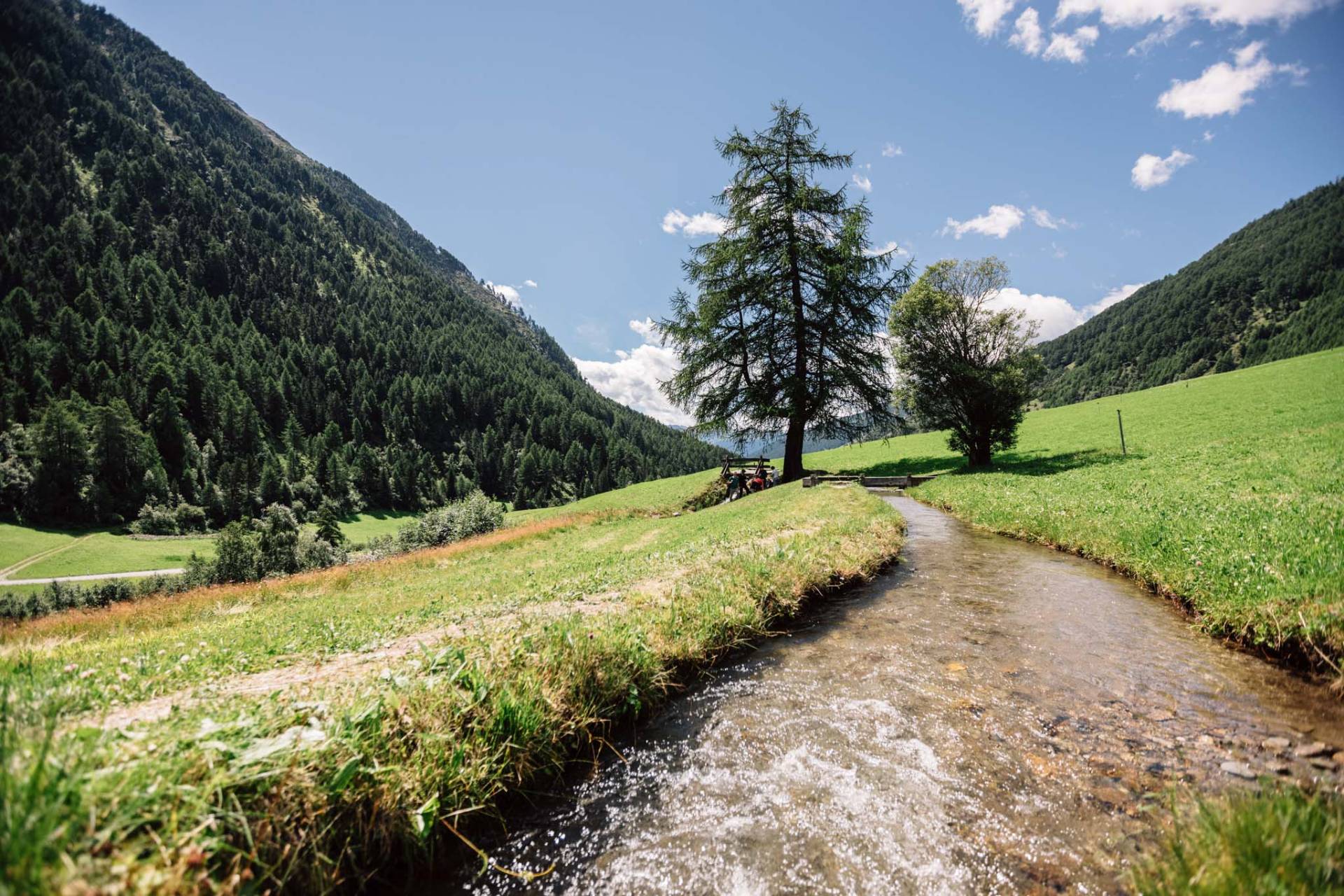Entlang des Waals durchs Matschertal – Wasser, Wiesen und Lärchen begleiten euch hinauf.